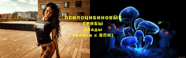 Альфа ПВП Пересвет