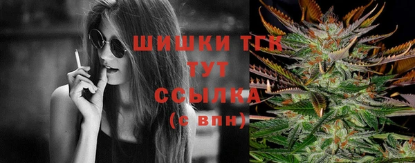 Альфа ПВП Пересвет