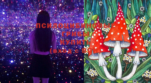 таблы Покачи
