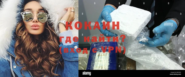 Альфа ПВП Пересвет