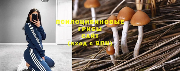 стаф Пестово