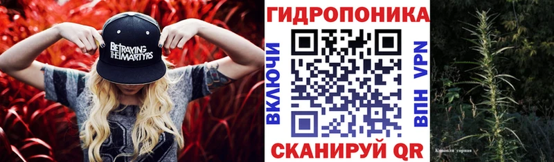 Бошки Шишки THC 21%  Купить закладки  Таштагол 